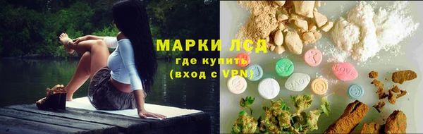 ГАЛЛЮЦИНОГЕННЫЕ ГРИБЫ Балахна