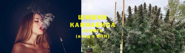 ГАЛЛЮЦИНОГЕННЫЕ ГРИБЫ Балахна