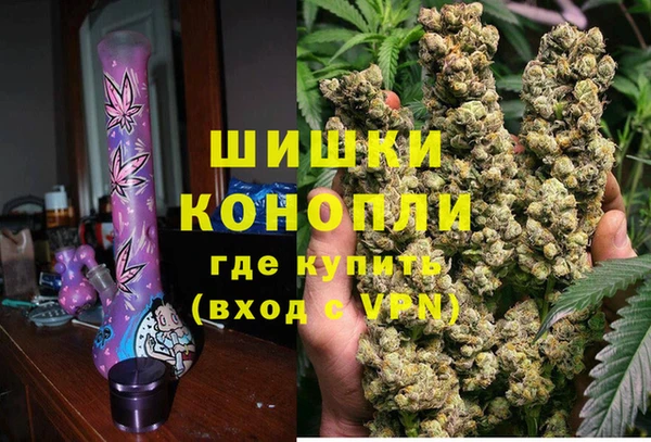 индика Баксан