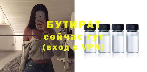 индика Баксан