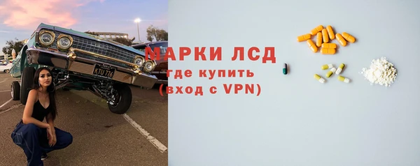 индика Баксан