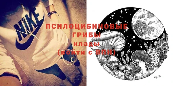 ГАЛЛЮЦИНОГЕННЫЕ ГРИБЫ Балахна