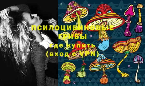 ГАЛЛЮЦИНОГЕННЫЕ ГРИБЫ Балахна