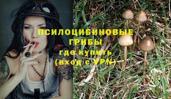 соль ск Балабаново