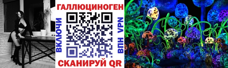 Псилоцибиновые грибы прущие грибы  Черняховск 