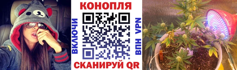 дарнет шоп  Черняховск  Канабис планчик 